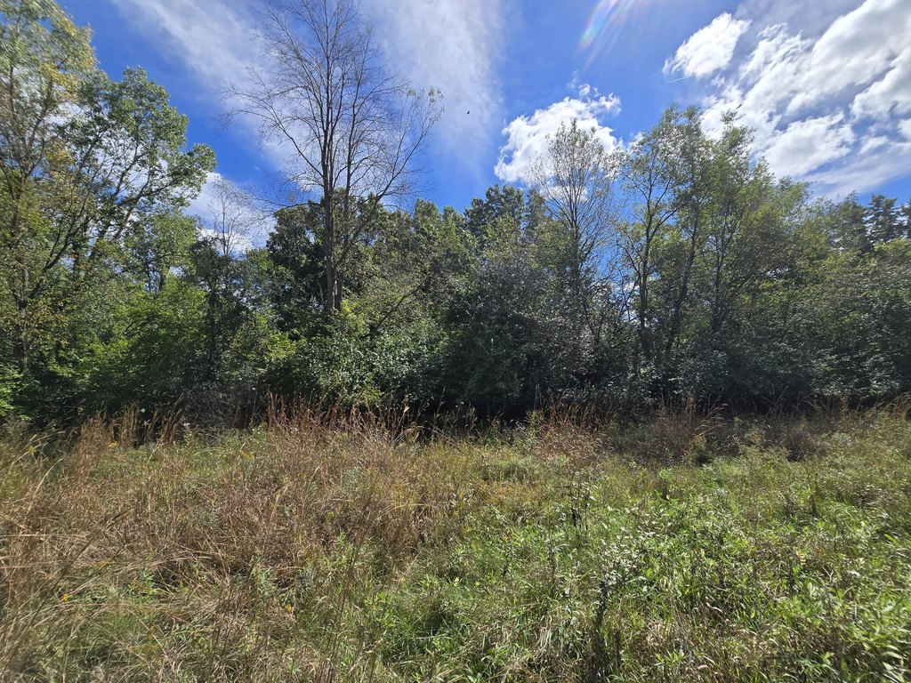 Picture 28