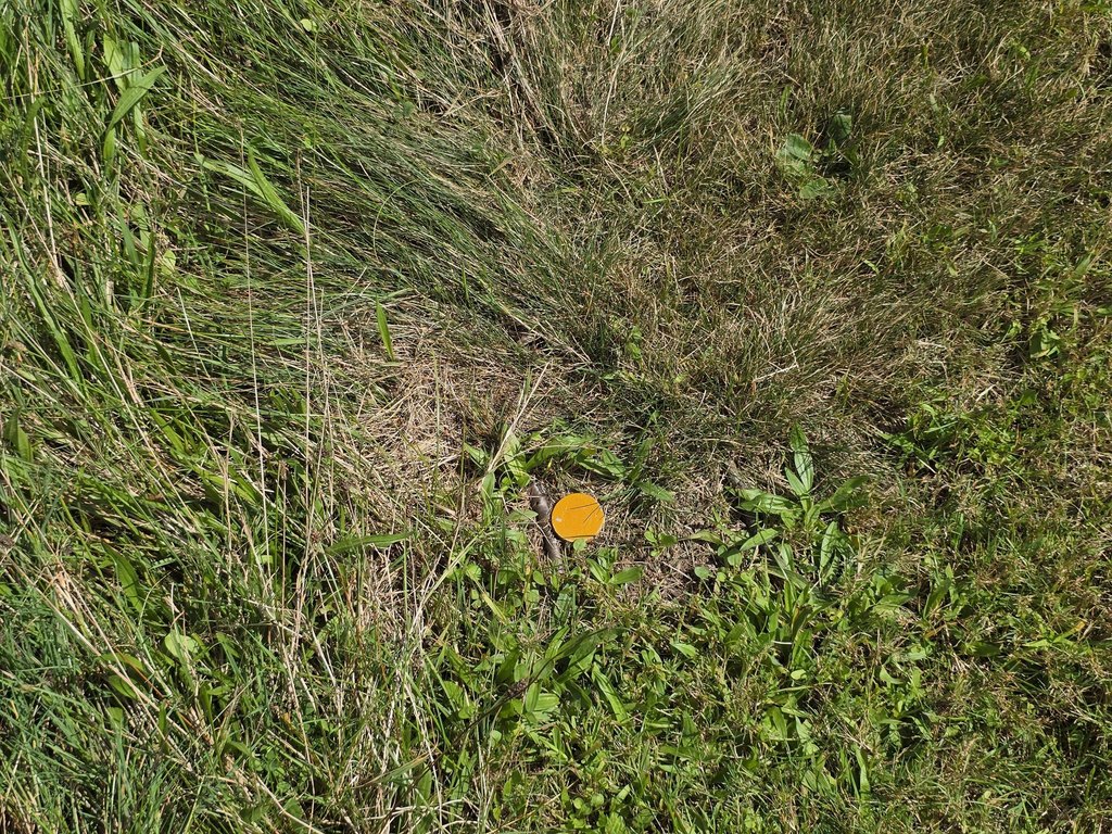 Picture 31