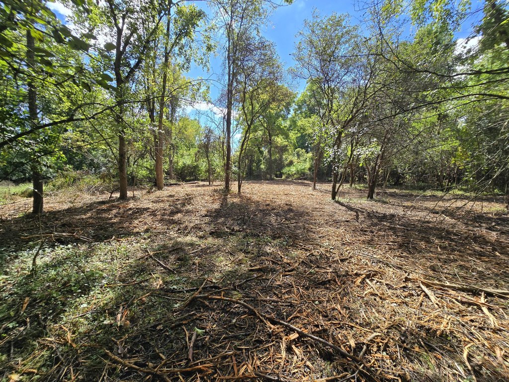 Picture 23