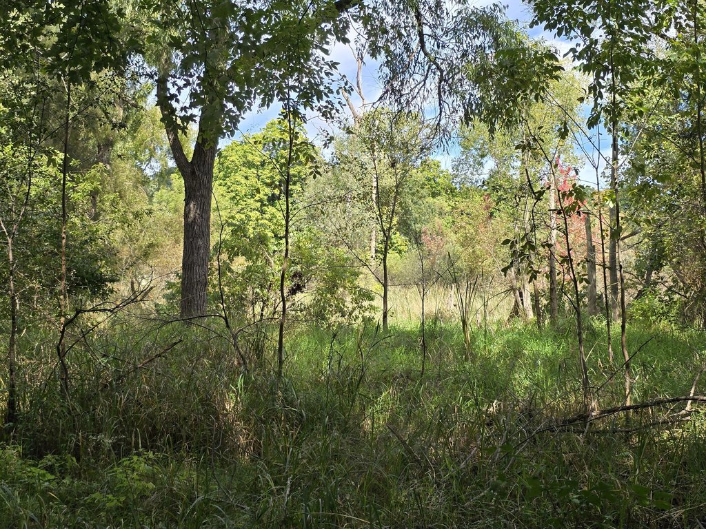 Picture 27