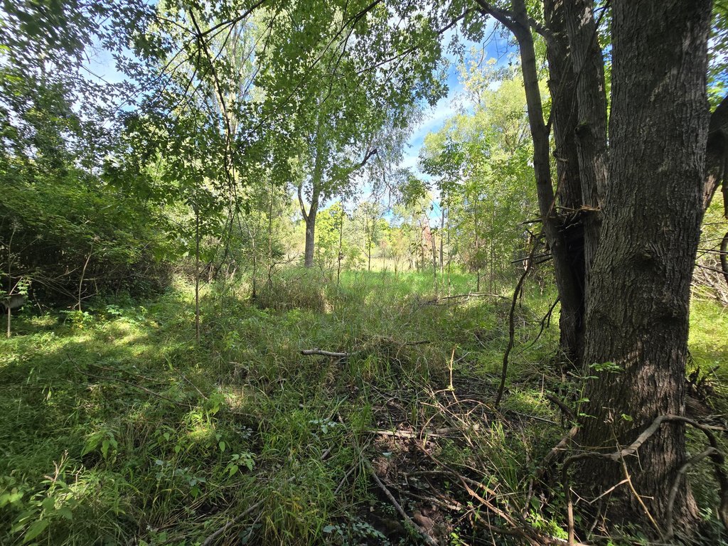 Picture 26