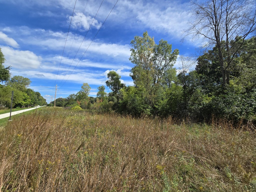 Picture 14