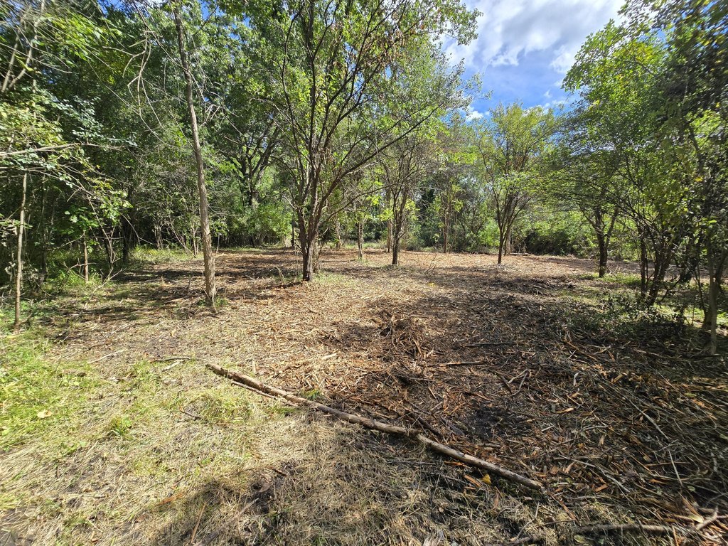 Picture 19