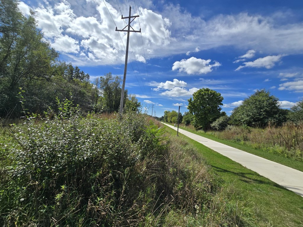 Picture 15