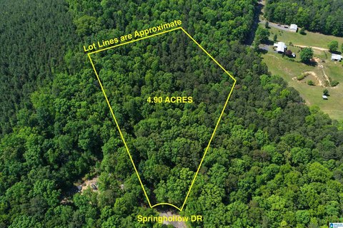 Large Wooded Lot in Ashville