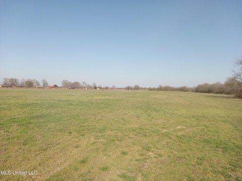 Undeveloped Land in Indianola, MS