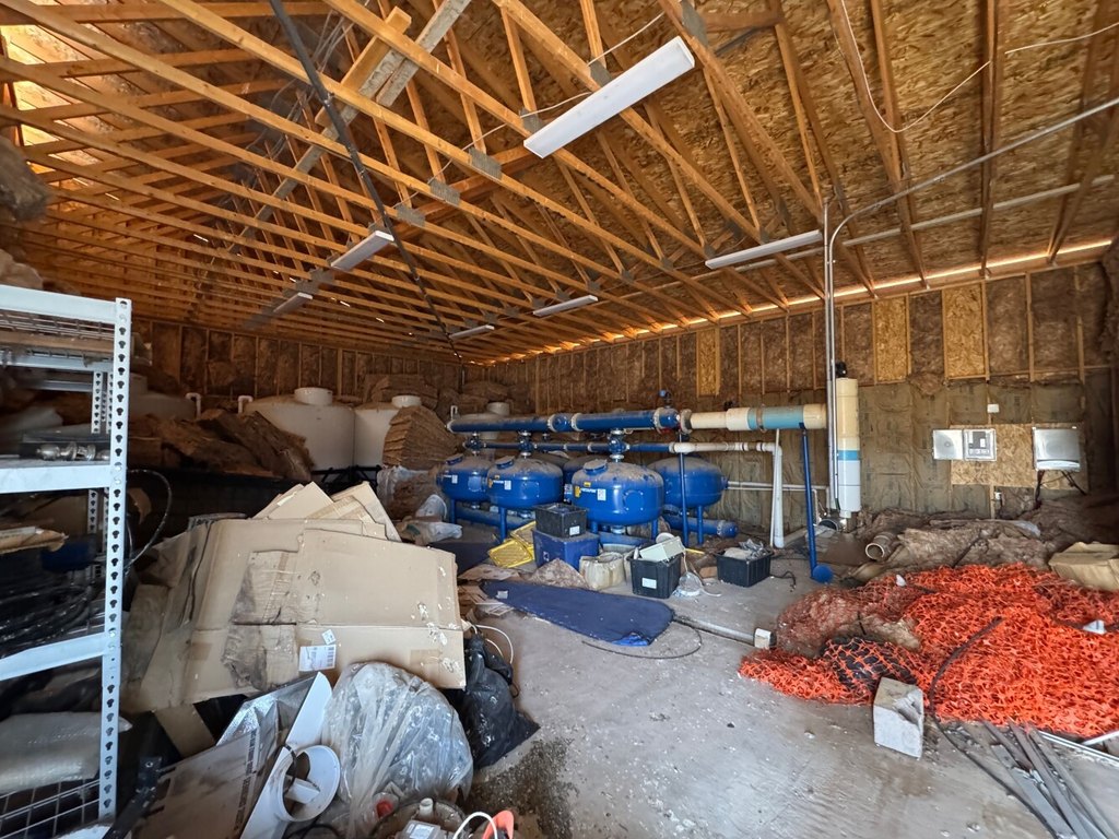 Picture 19