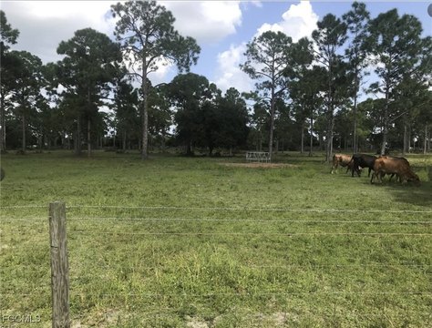 Cape Coral 8-Acre Land Parcel