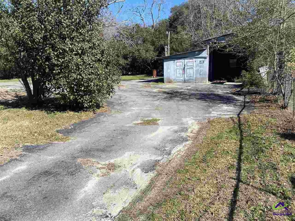 Picture 8