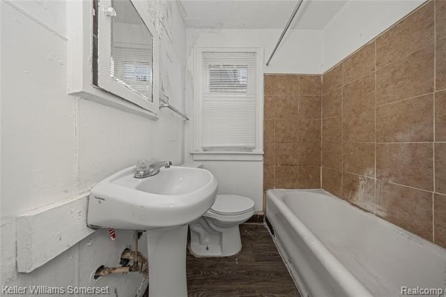 Picture 19