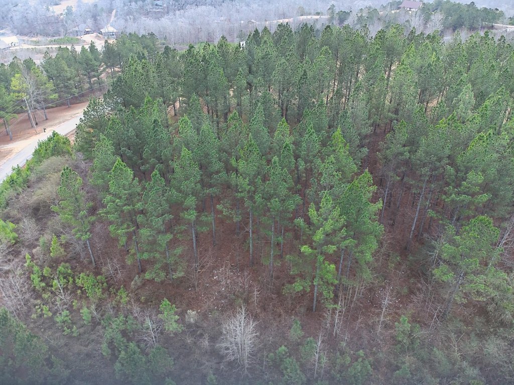 Picture 4