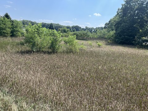 Allegan Land for Residential Development