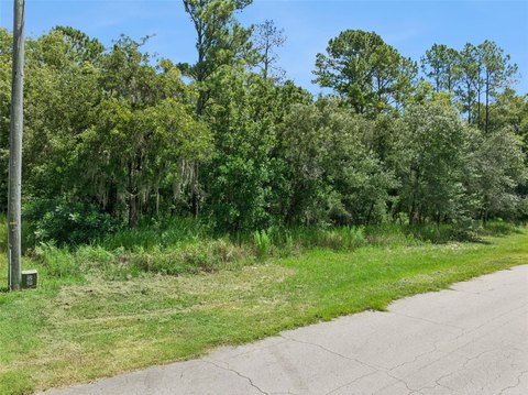 LAND - OCALA, FL