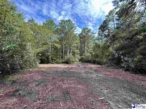 Timber and Wildlife Land Tract