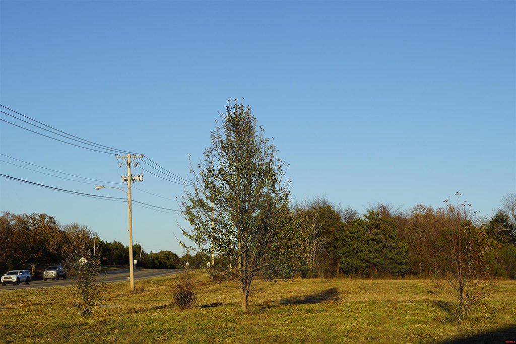 Picture 10