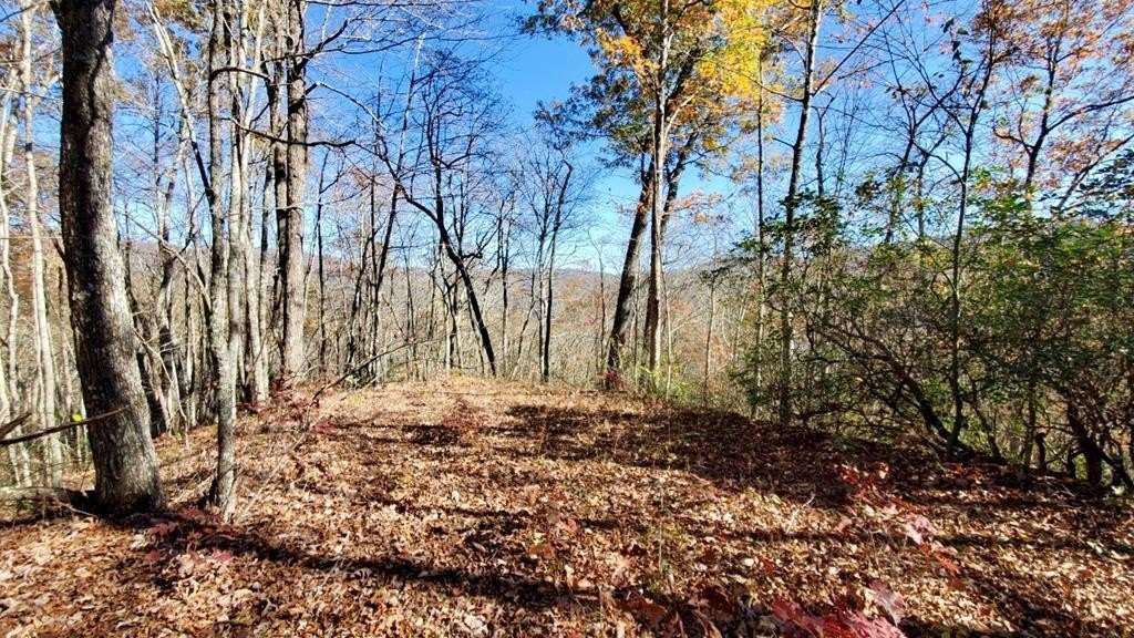 Wooded Land Near Bryson City
