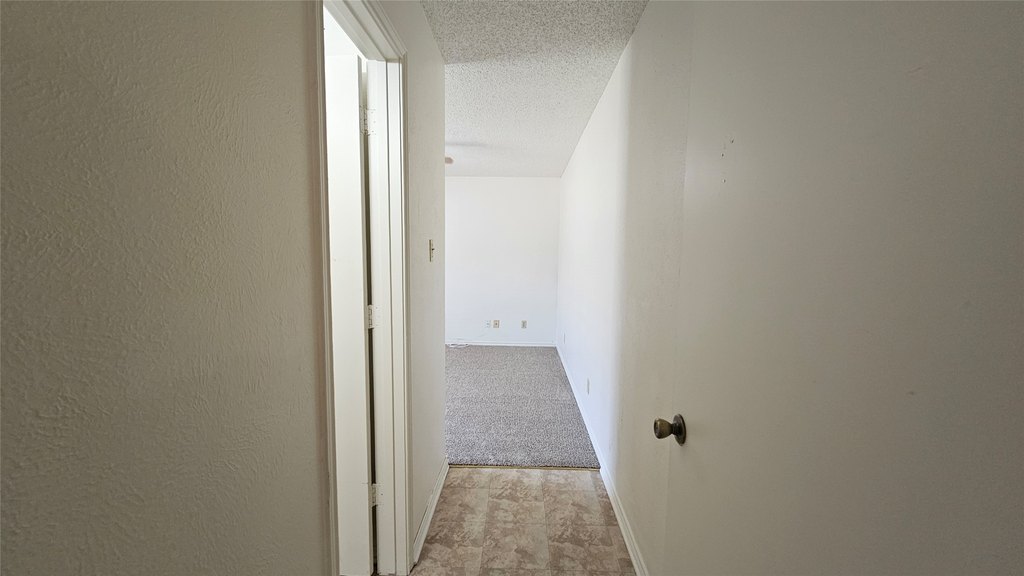 Picture 36