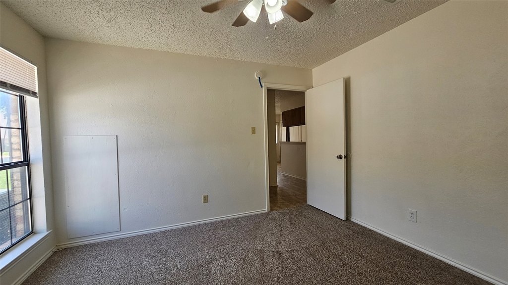 Picture 32