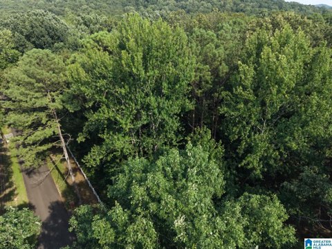 LAND - PINSON, AL