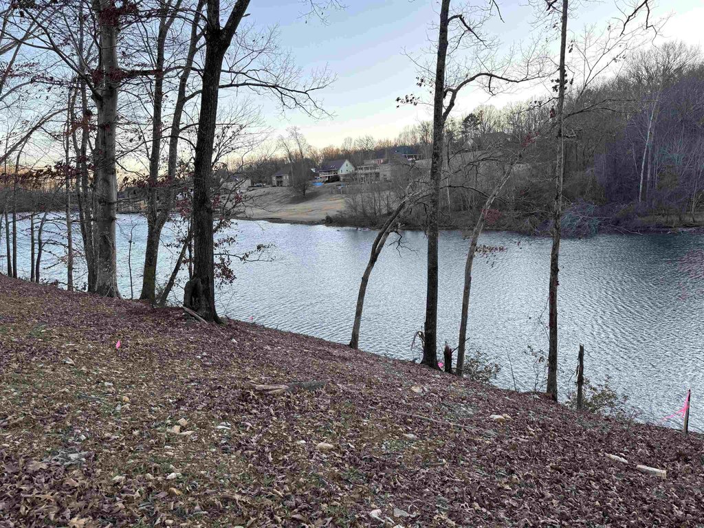Picture 4