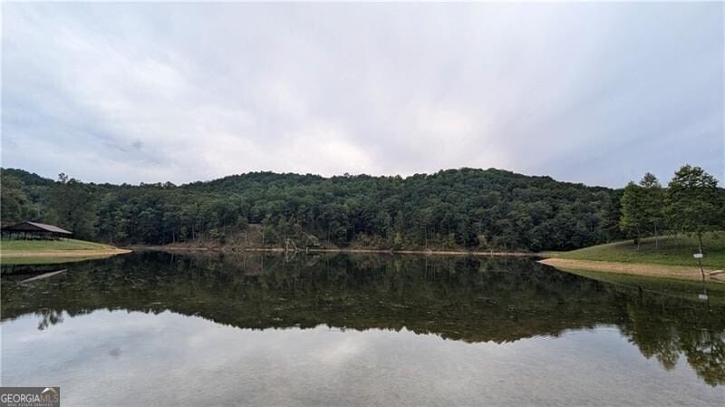 Picture 19