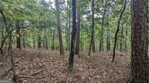 Ranger, GA