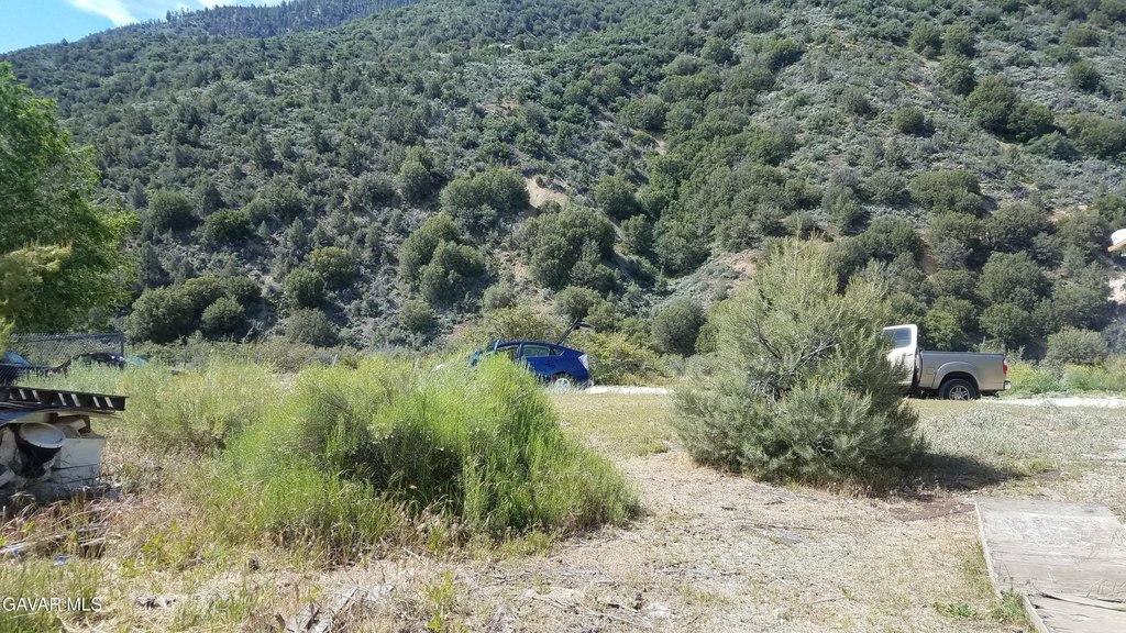 Picture 3