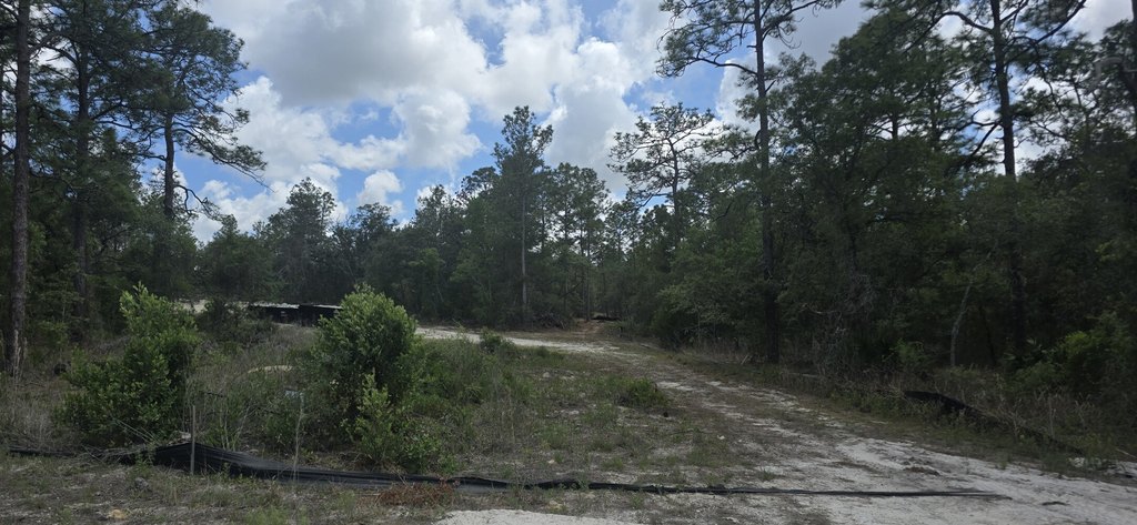 Picture 15