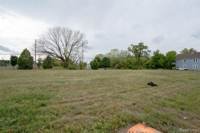 Picture 3