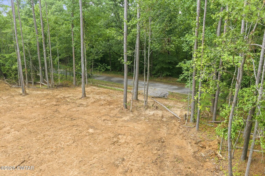 Picture 5