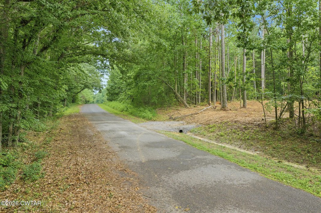 Picture 17