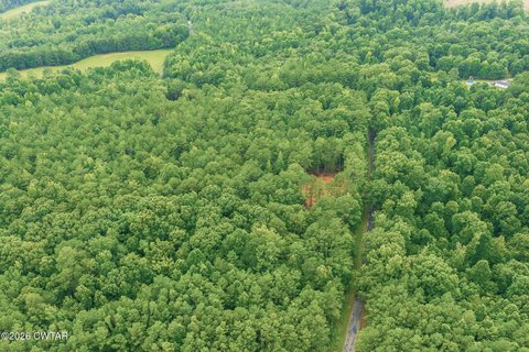 Timbered Recreational Homesite Land