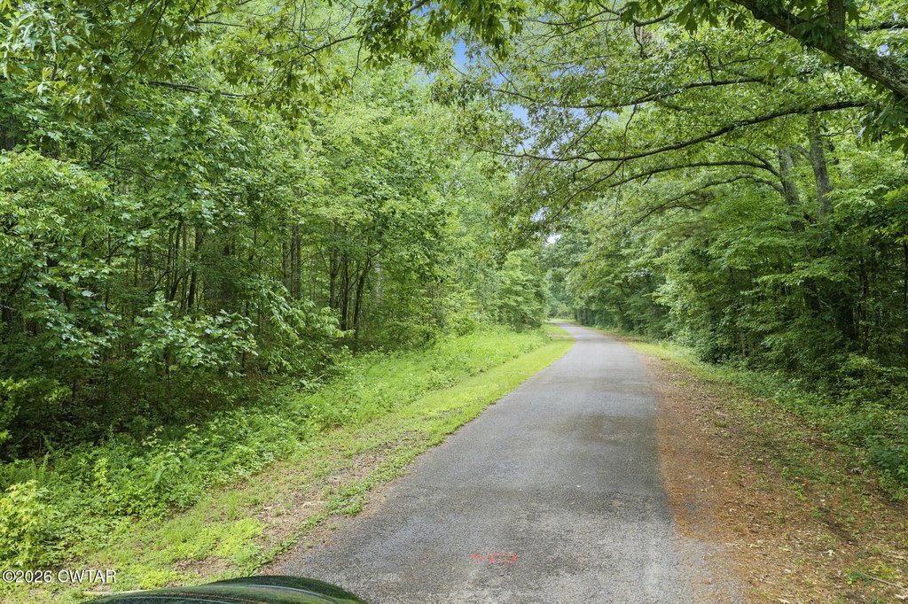 Picture 18