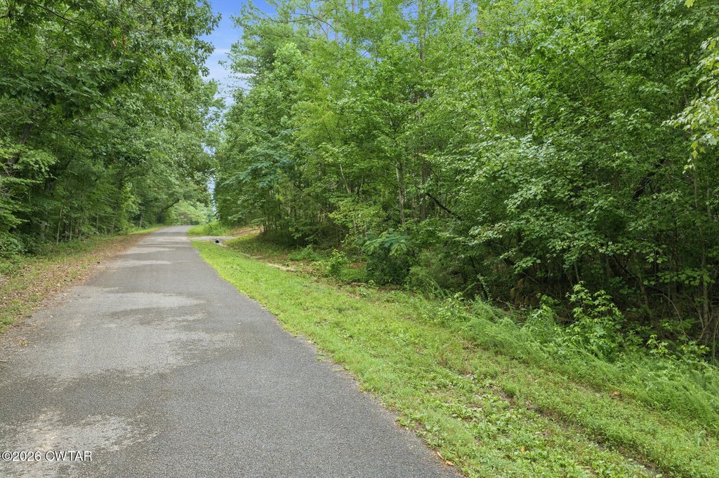 Picture 16