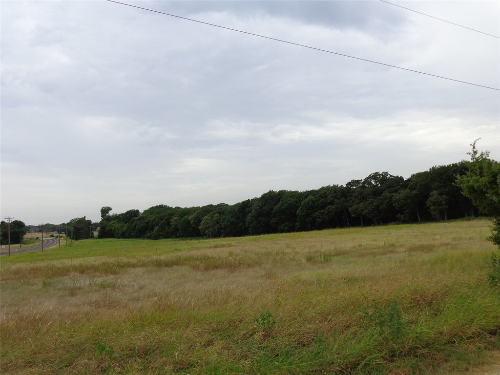 Picture 3