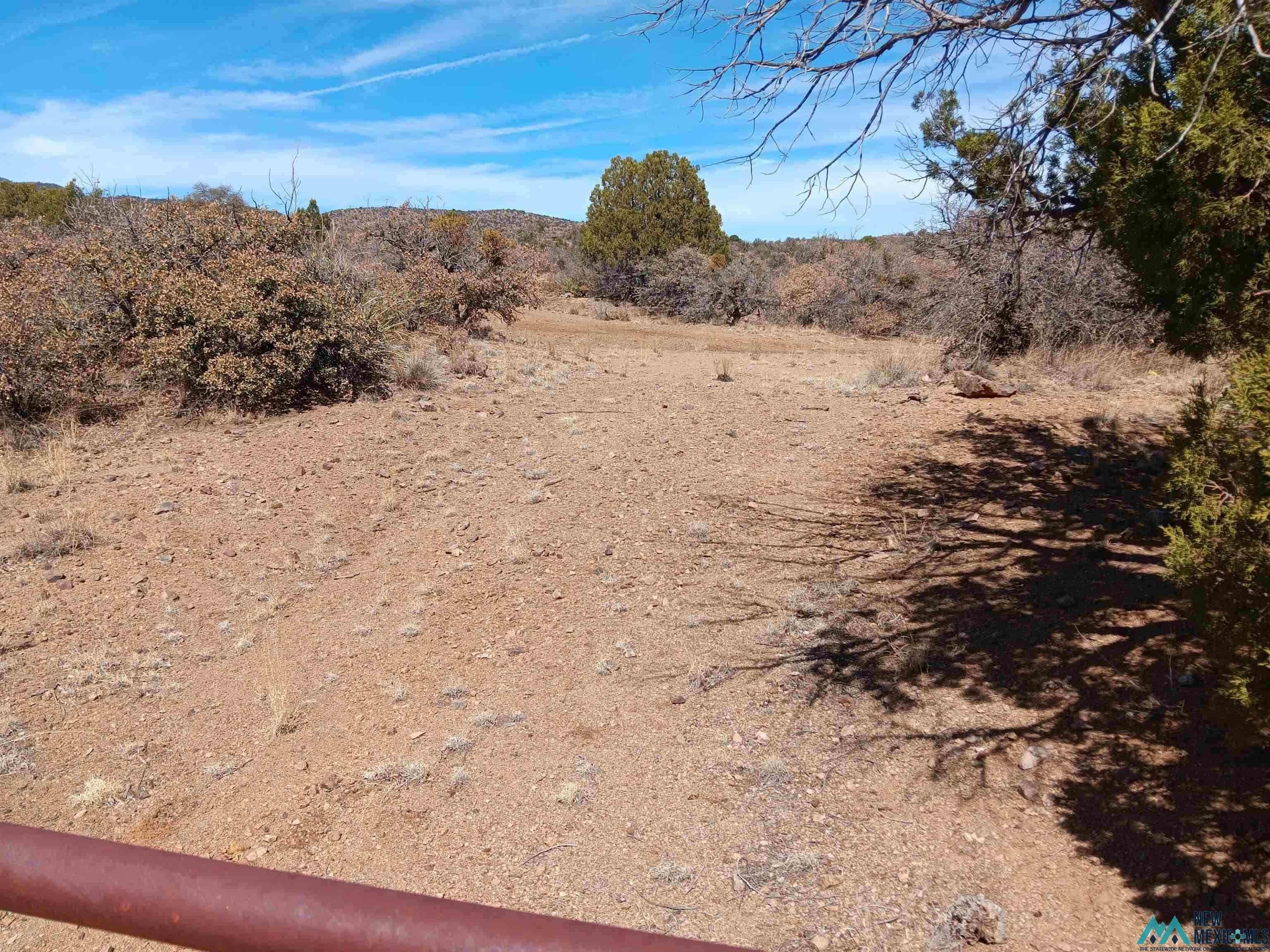 Land in Tyrone, New Mexico