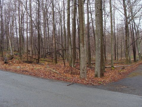 Residential Lot in Pocono Springs