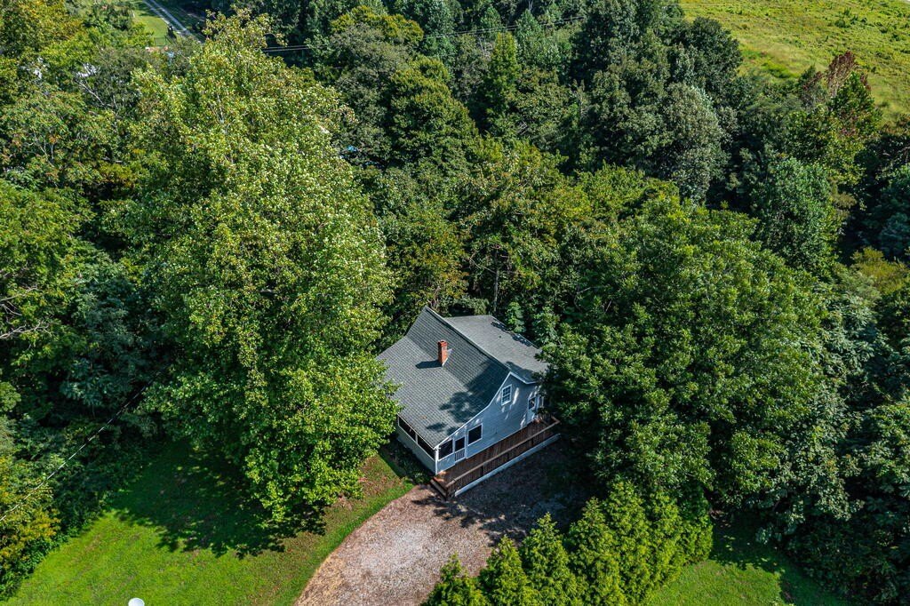 Picture 102