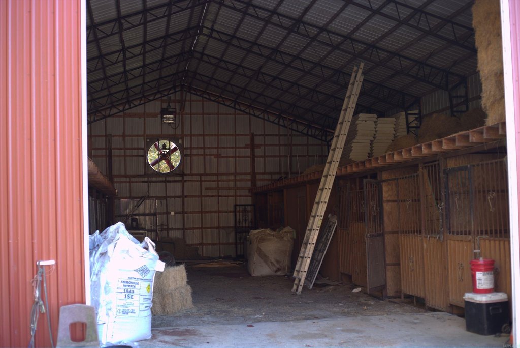 Picture 14