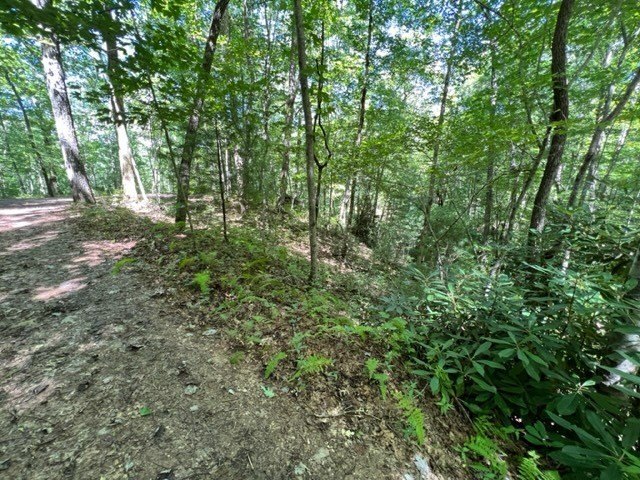 Picture 13