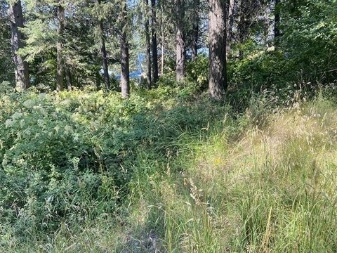 Loon Lake Land For Sale