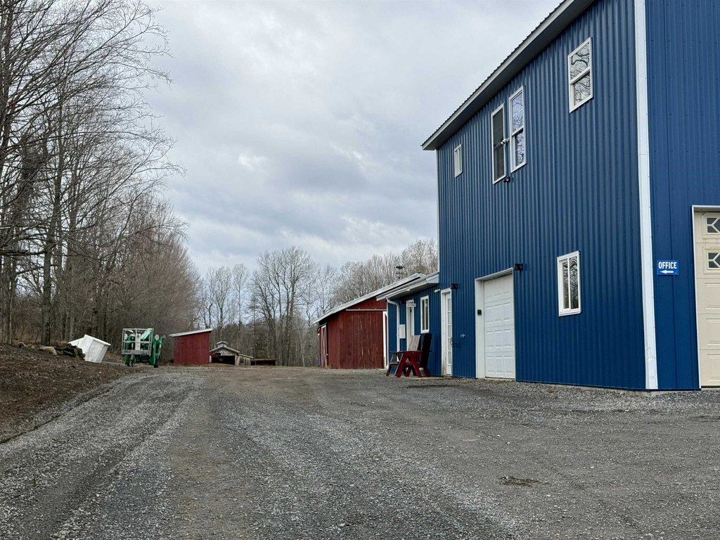 Picture 36