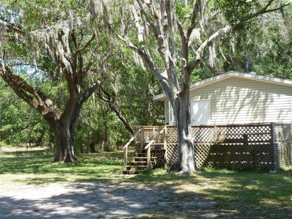 Picture 16