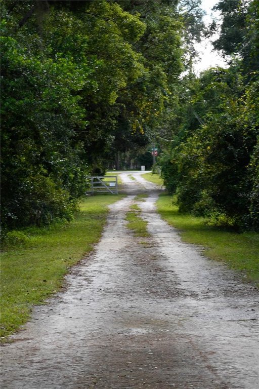 Picture 9