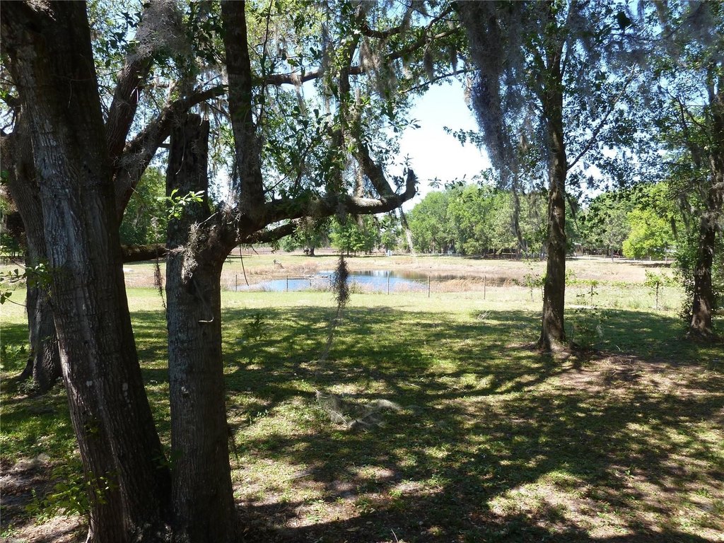 Picture 13