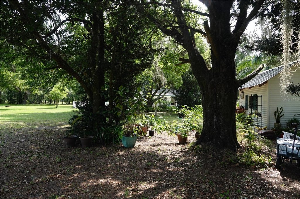 Picture 20