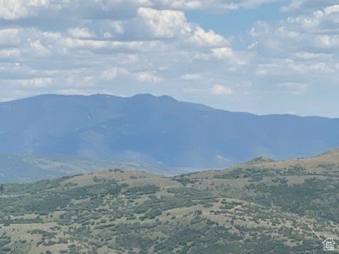 Picture 13