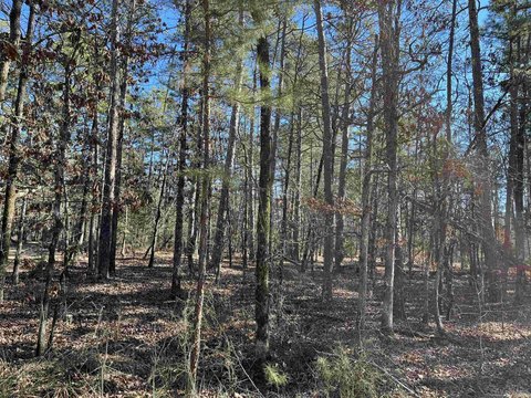 Vacant Land, Hot Springs Village, AR