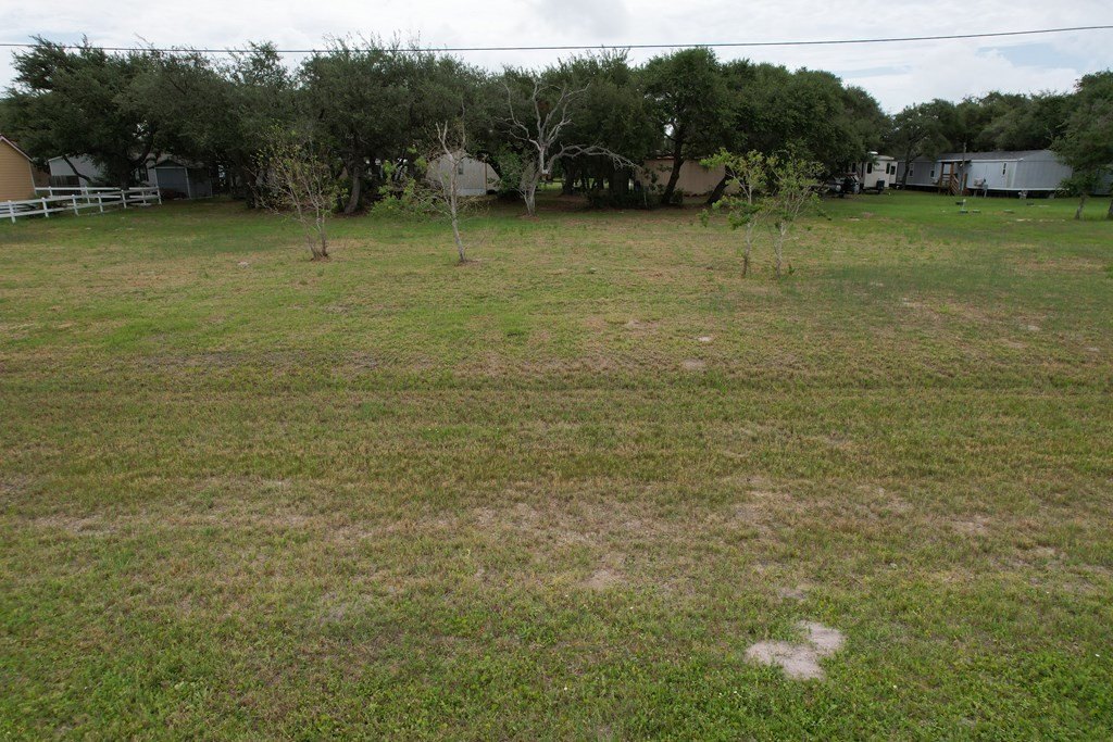 Picture 4