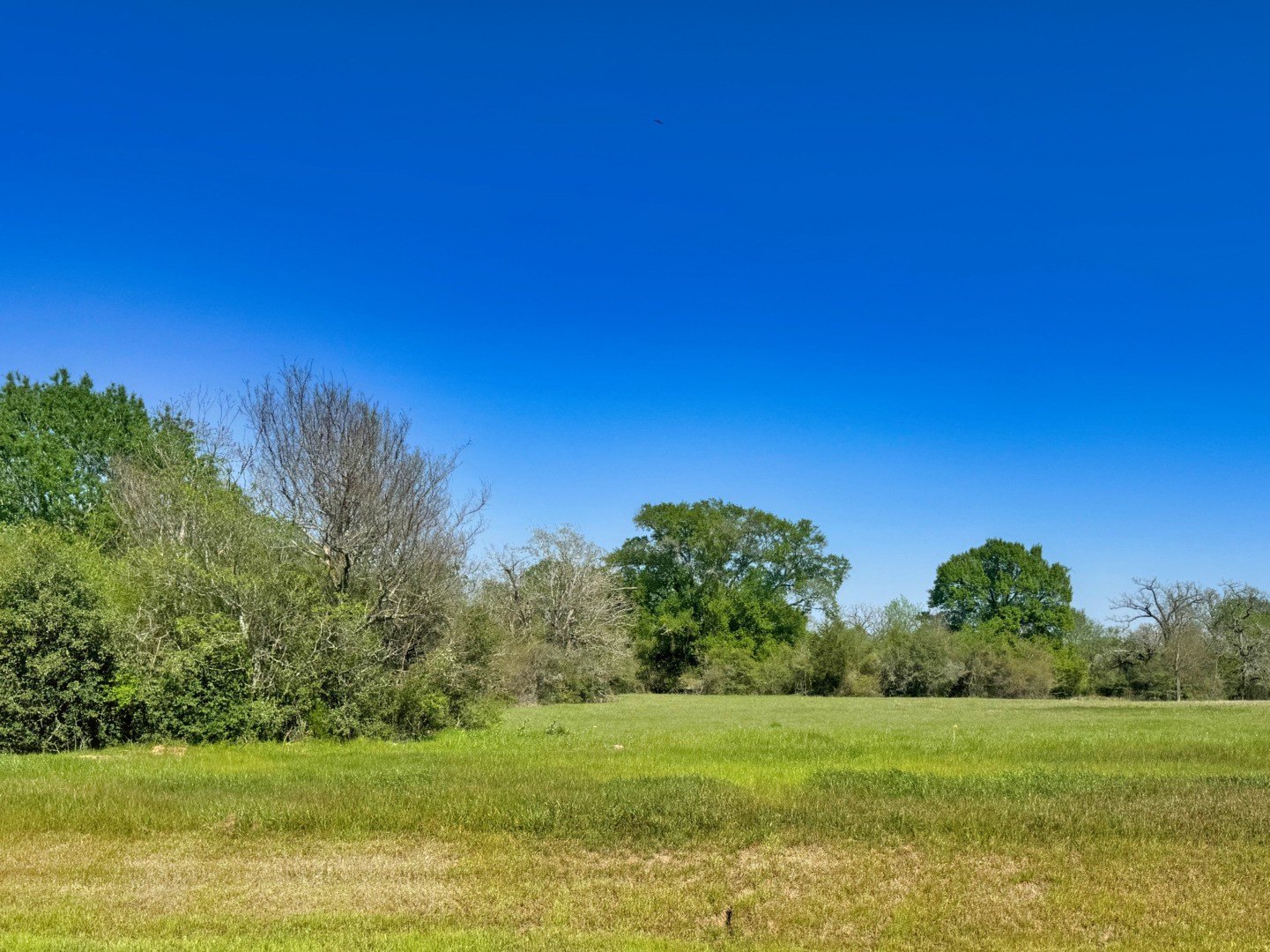 Land in Iola, Texas